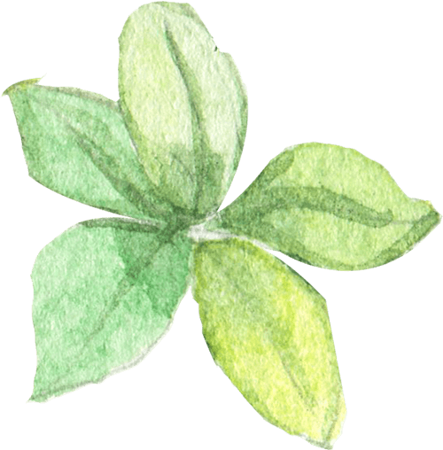 Decorative shape