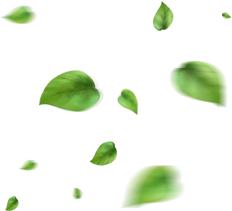 Decorative shape